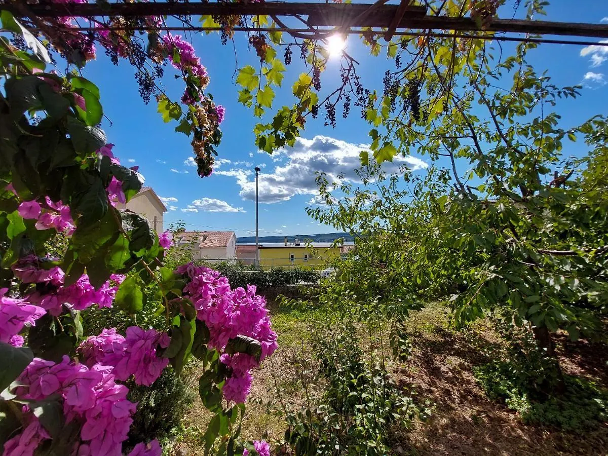 *** Penzion Rooms Anchy Crikvenica Chorvatsko
